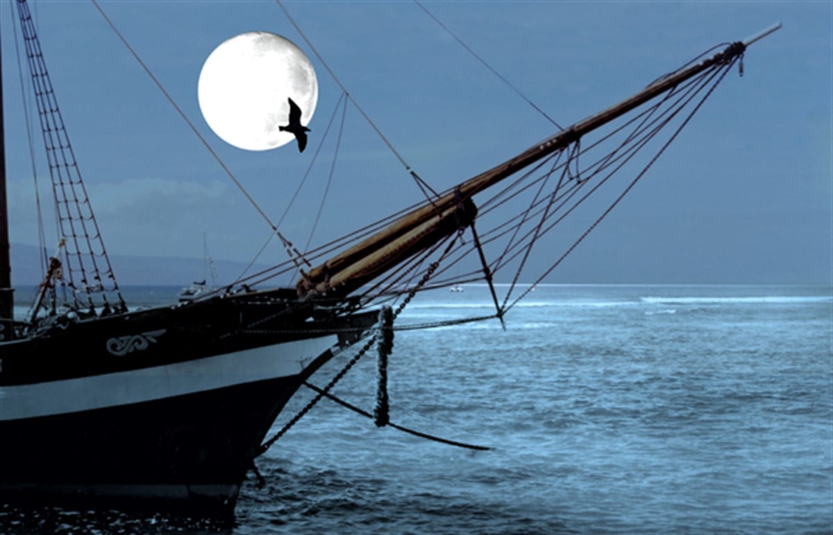 Mehtap Turu - Kanvas Tablo