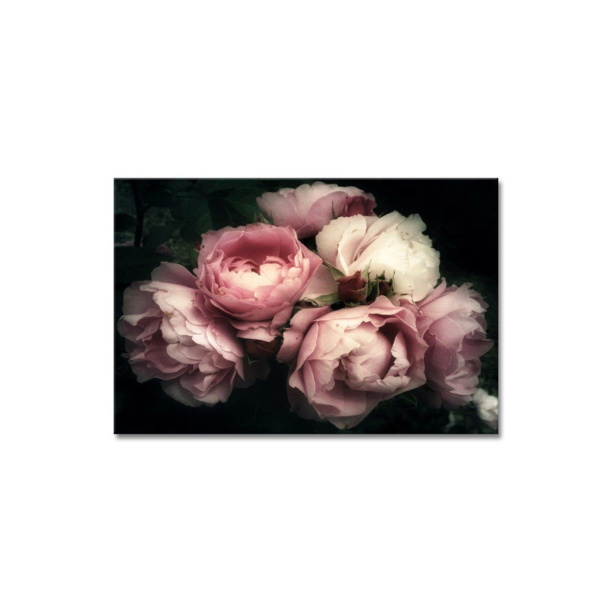 Pembe - Büyük Boy Kanvas TabloBüyük Boy Kanvas TablolarTablolife.com