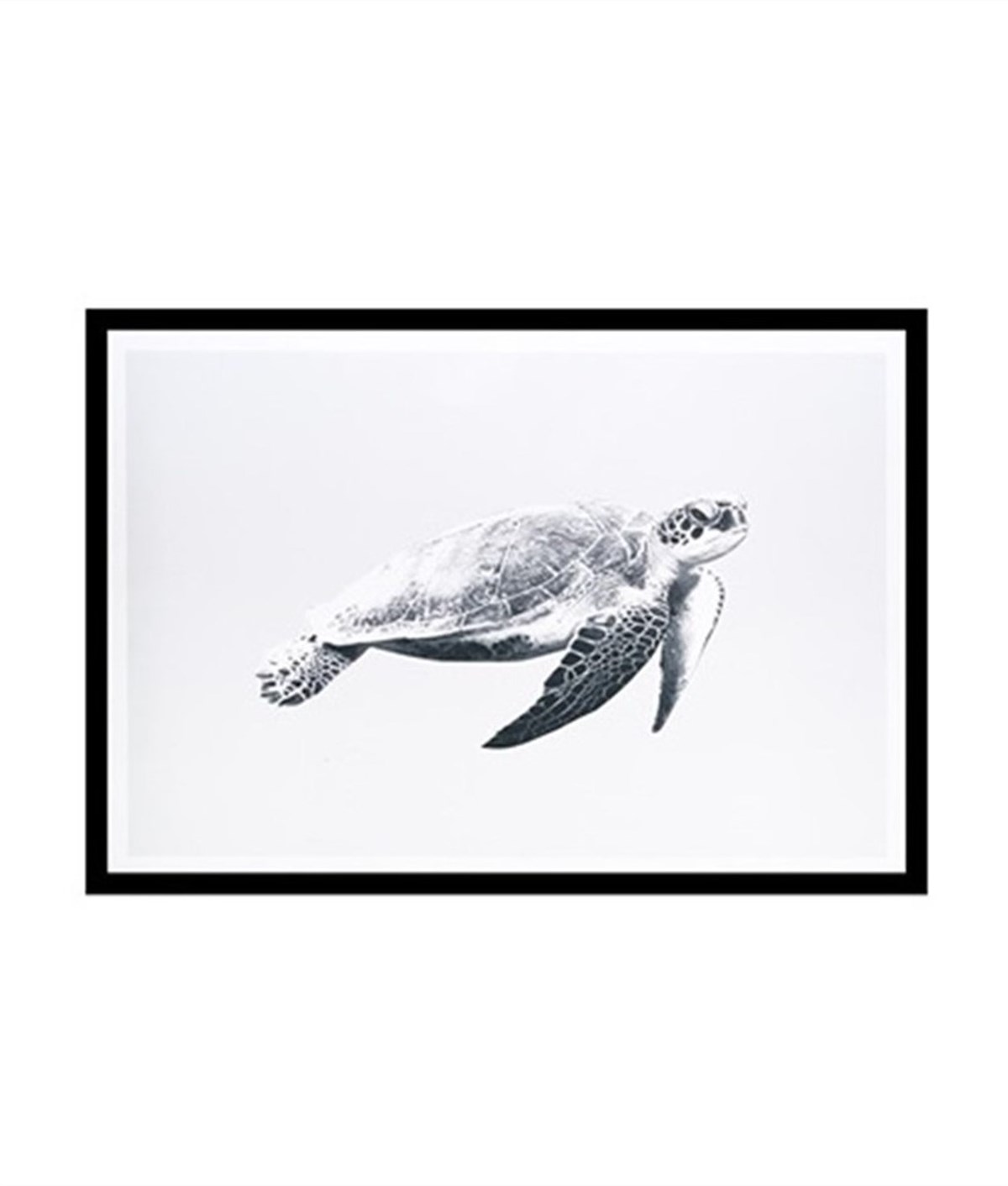 Su Kaplumbağası Çerçeveli PosterPosterlerTablolife.com