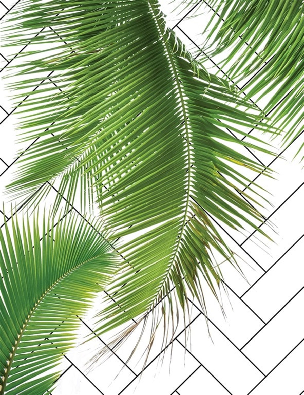 Tropik Yaprak - Kanvas Tablo