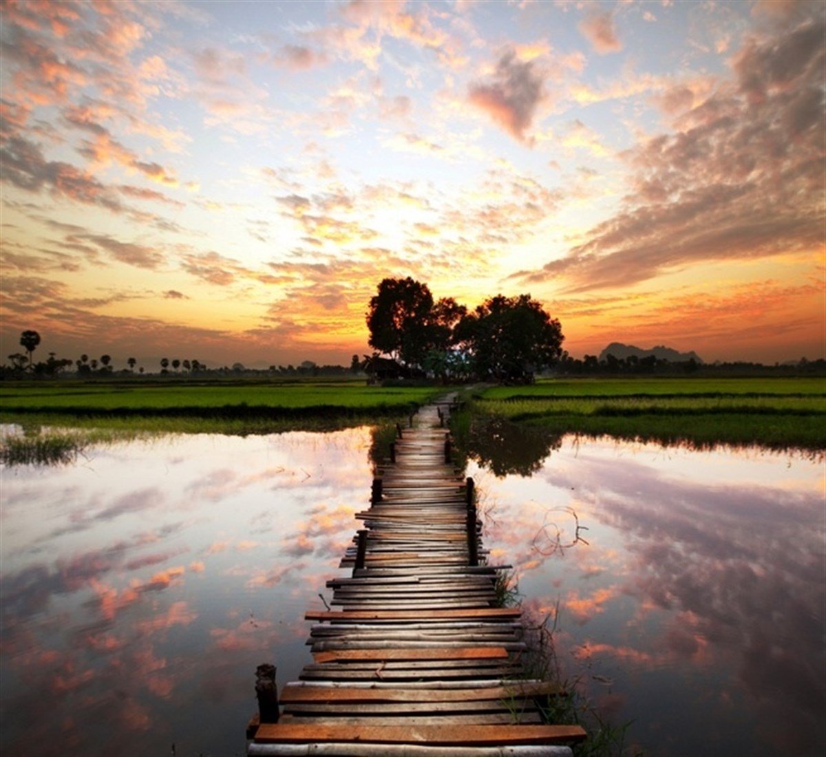 Yeşilliğe Giden İskele - Kanvas Tablo