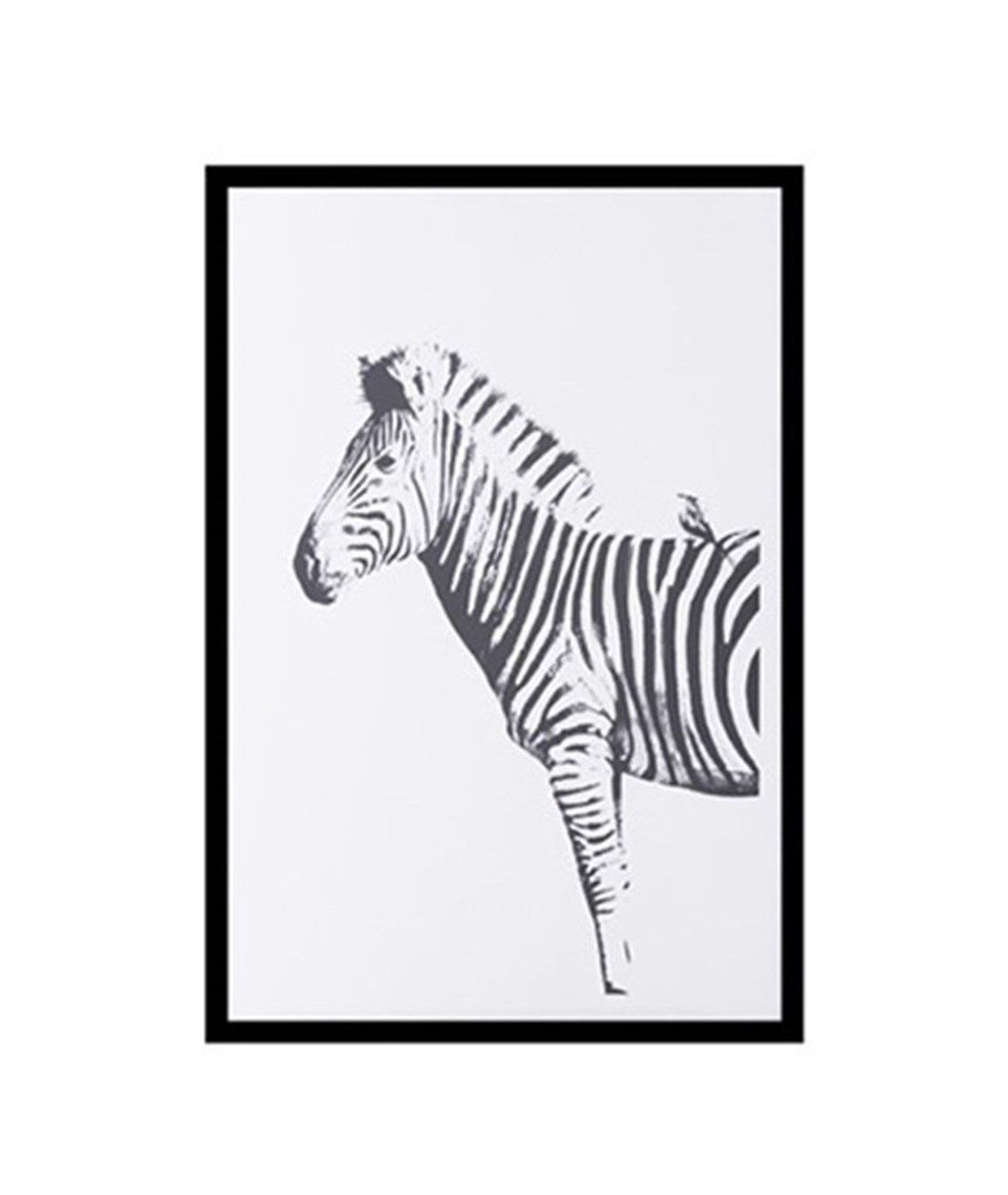 Zebra Çerçeveli PosterPosterlerTablolife.com