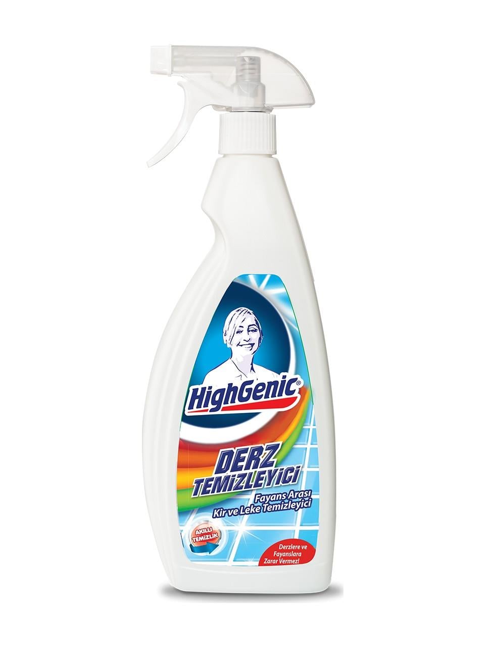 Highgenic Derz Temizleyici 750 Ml