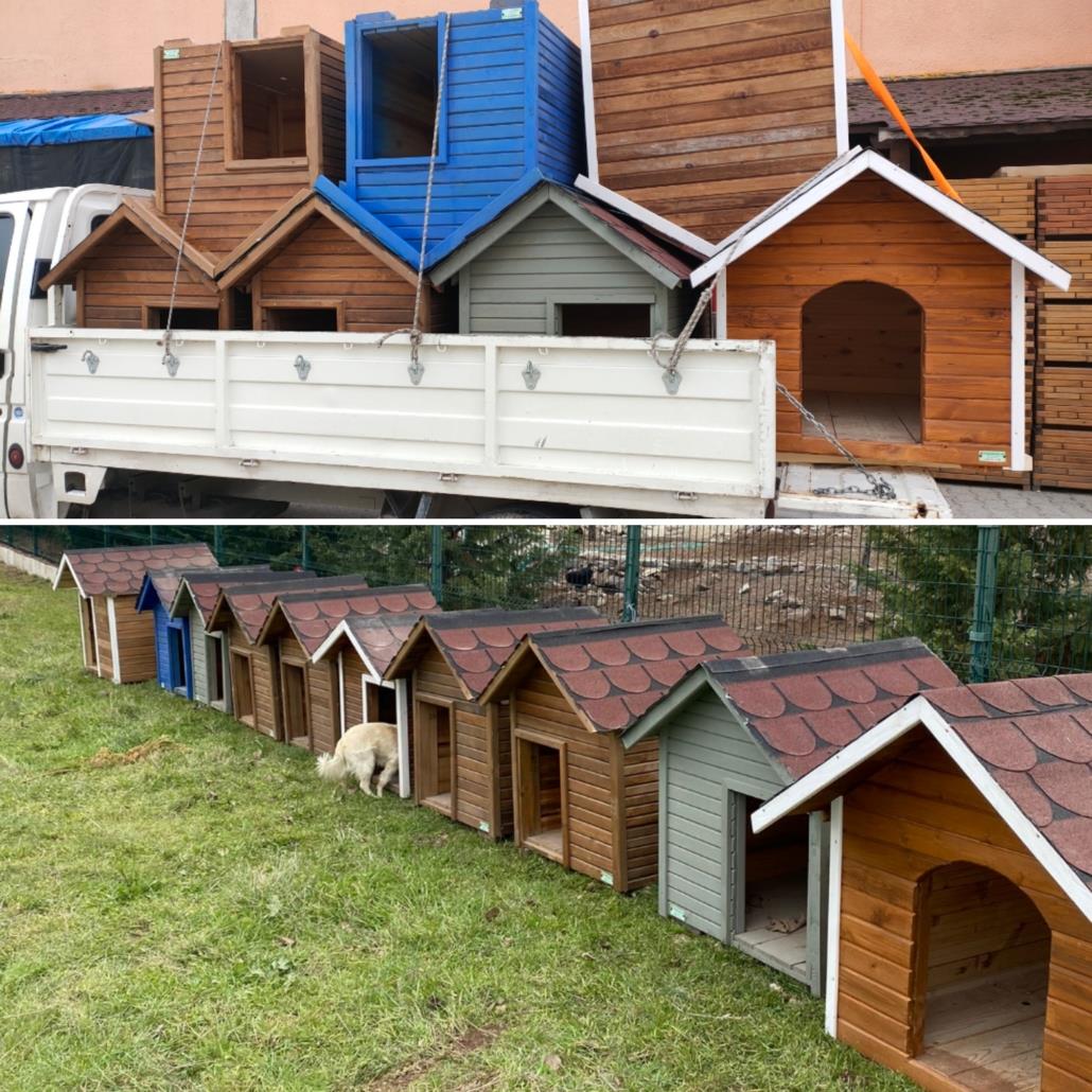 125'lik Köpek Kulubesi