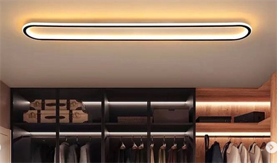 Led Plafonyer Elips Oval İç-Dış Aydınlatmalı 80 cm Monolux ML 54109