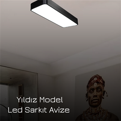 Monolux Dikdörtgen Plafonyer Avize ML 54057