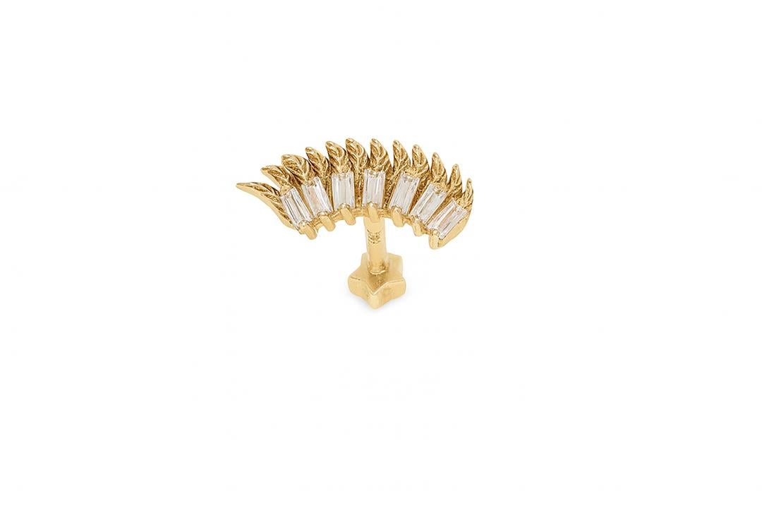 Pelagem Tragus