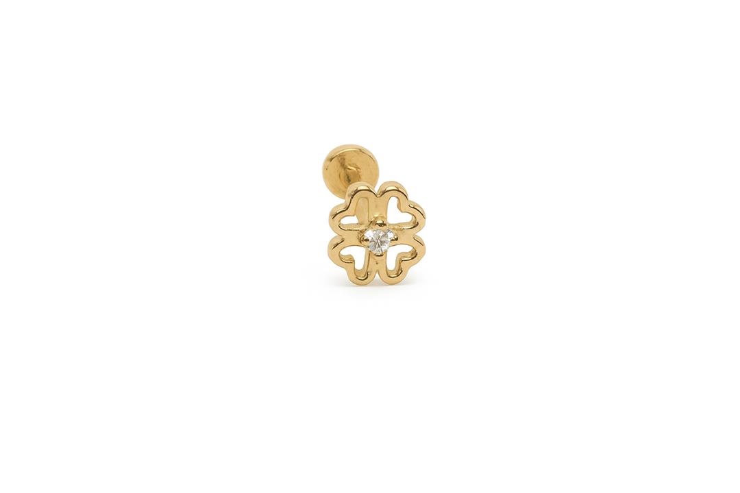 Trevo Tragus