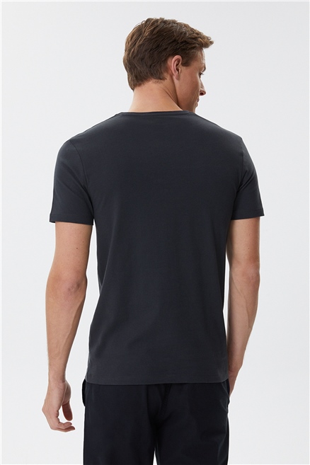 Allen Erkek %100 Pamuk Bisiklet Yaka T-Shirt Antrasit