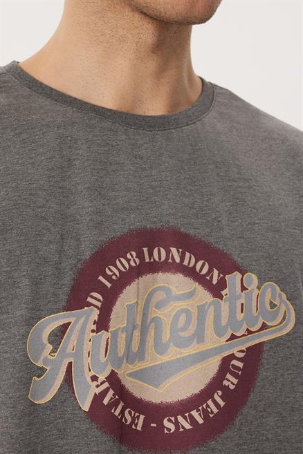 Authen Erkek %100 Pamuk O Yaka T-Shirt Antrasit