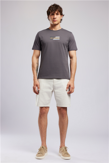 BASIL Erkek Regular Fit %100 Pamuk Baskılı Bisiklet Yaka T-Shirt Gri
