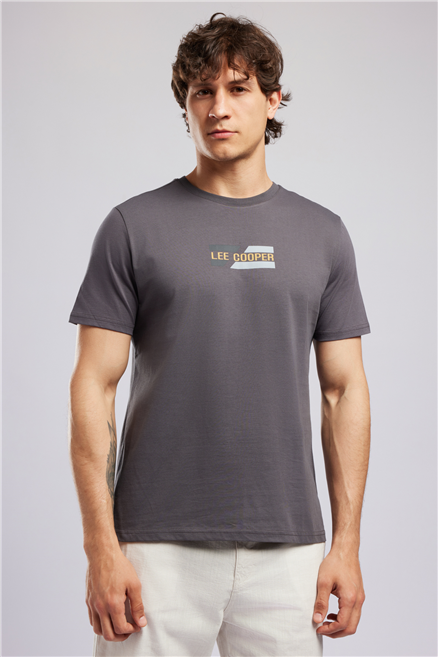 BASIL Erkek Regular Fit %100 Pamuk Baskılı Bisiklet Yaka T-Shirt Gri