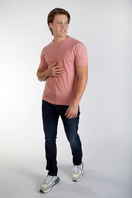 Gael Erkek %100 Pamuk O Yaka T-Shirt Somon