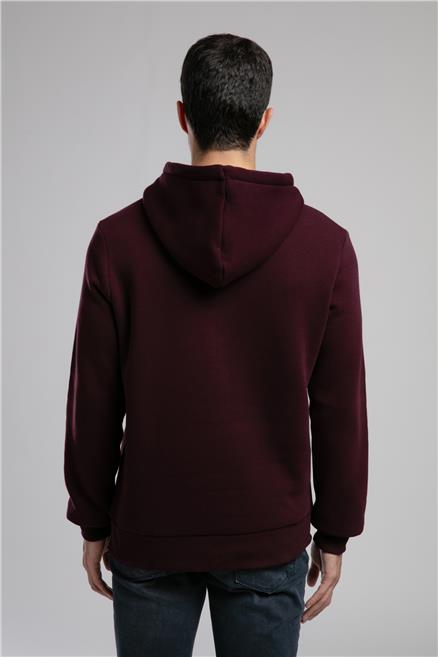 Greg Erkek Kapüşonlu Sweatshirt Mürdüm