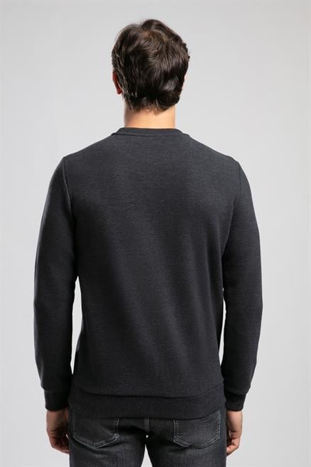 Newdwade Erkek O Yaka Sweatshirt Antrasit