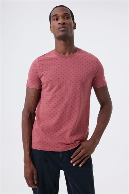 Polite 1 Erkek %100 Pamuk Bisiklet Yaka T-Shirt Gül Kurusu