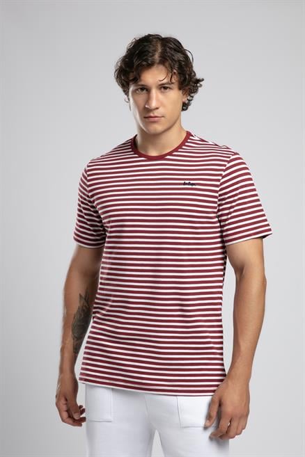 Skyler Erkek %100 Pamuk O Yaka T-Shirt