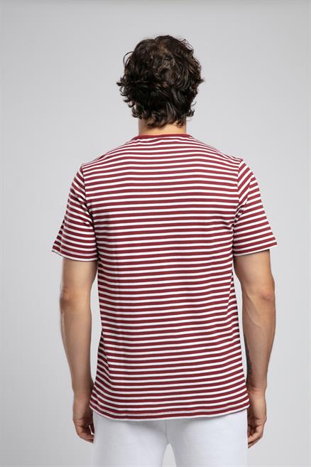 Skyler Erkek %100 Pamuk O Yaka T-Shirt