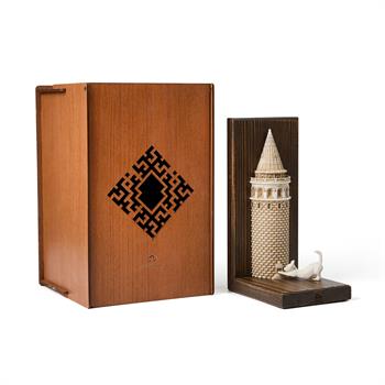 Galata Kulesi Kitap Desteği