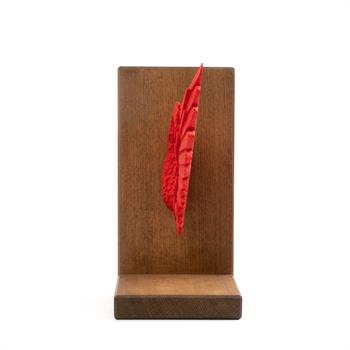 Melek Kanadı Kırmızı Kitap Desteği