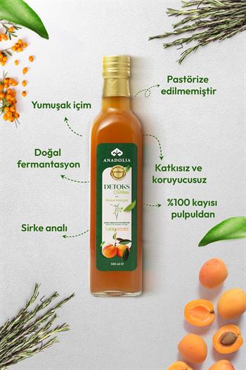 Detoks Sirkesi 500 ml