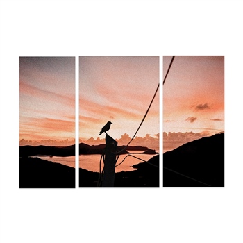 Kuş ve Günbatımı Desenli Üçlü Duvar Panosu