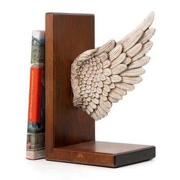 Melek Kanadı Kitap Desteği