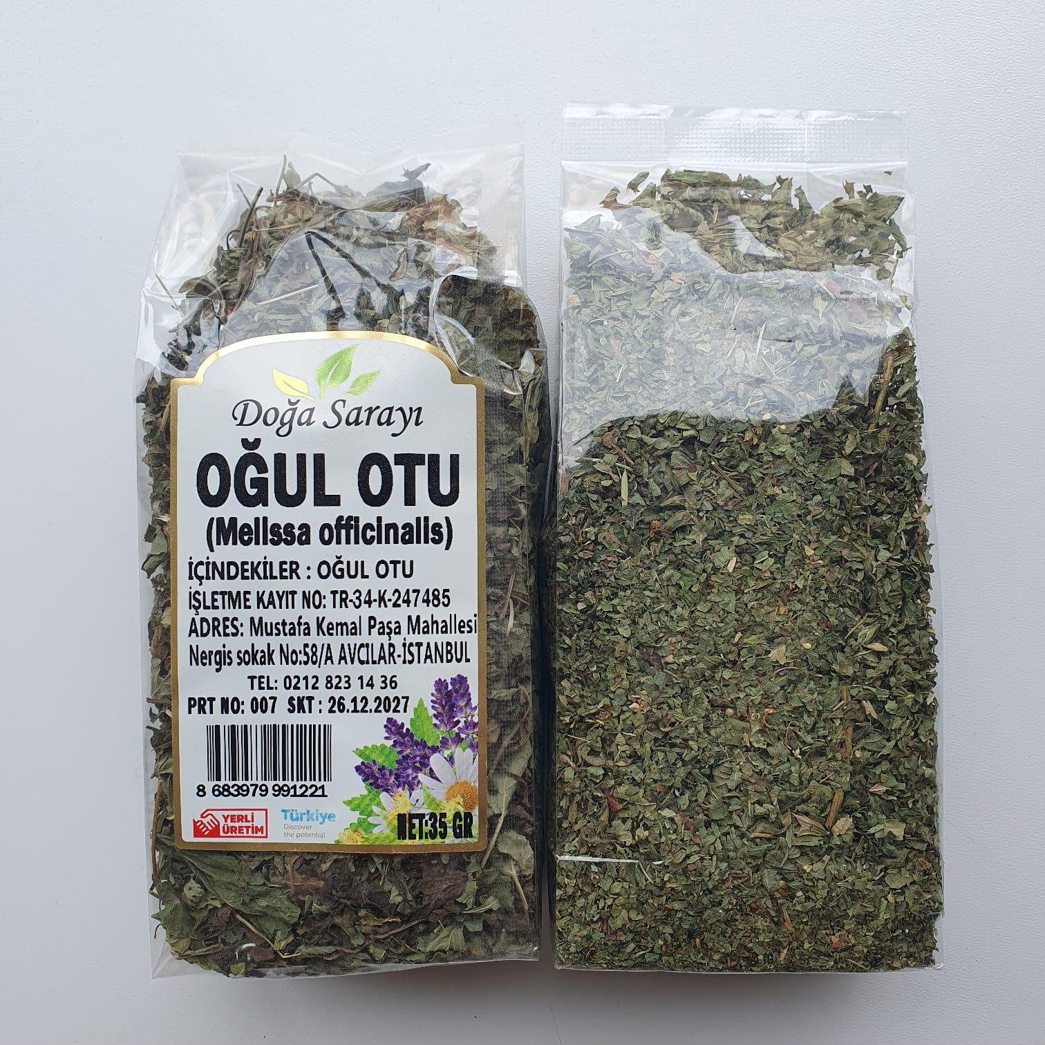 OĞUL OTU