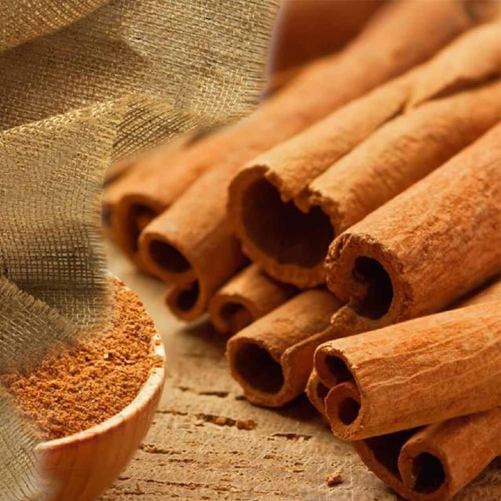 TARÇIN (ÇUBUK) 100 GR