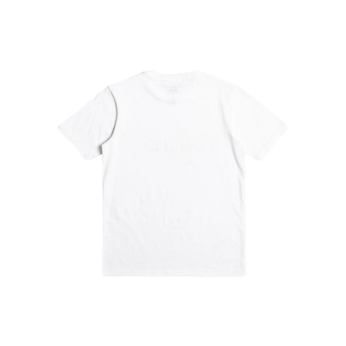 Quiksilver EQBZT04587 Signaturemove B Tees Erkek Çocuk Tişört