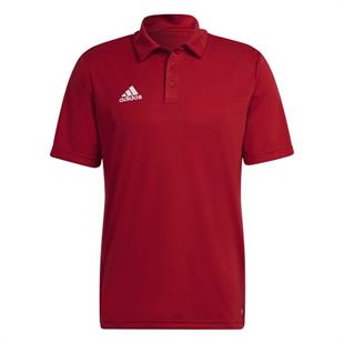 Adidas H57489 Ent22 Erkek Polo Tişört