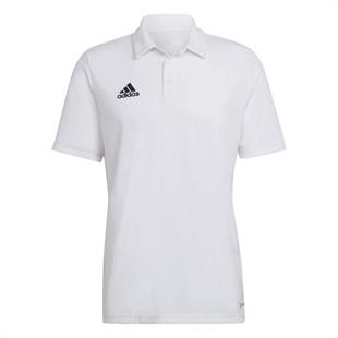 Adidas HC5067 Ent22 Erkek Polo Tişört