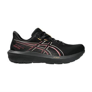 Asics 1011C233-001 Gt-1000 15 Gtx Erkek Koşu Ayakkabısı