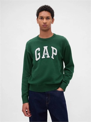 Gap 789791000 V-Intx Gap Athletic Intarsia Rlxd Erkek Kazak