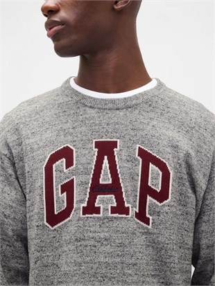 Gap 789791002 V-Intx Gap Athletic Intarsia Rlxd Erkek Kazak