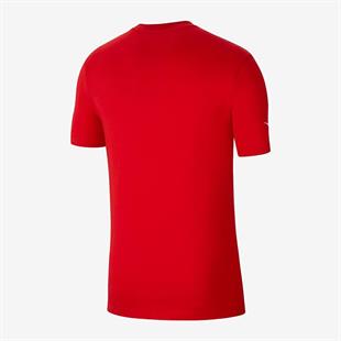 Nike CZ0881-657 Team Park 20 Tee Erkek Tişört