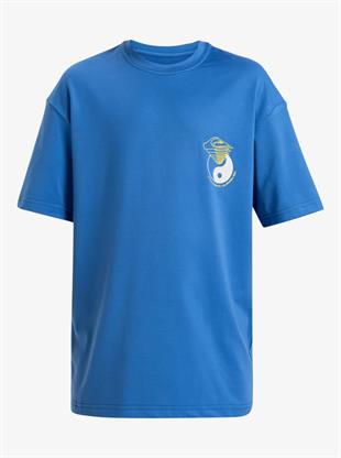Quiksilver AQBWR03067-BQV0 Everyday Surf Tee Ss Youth Erkek Çocuk Yüzücü Tişört
