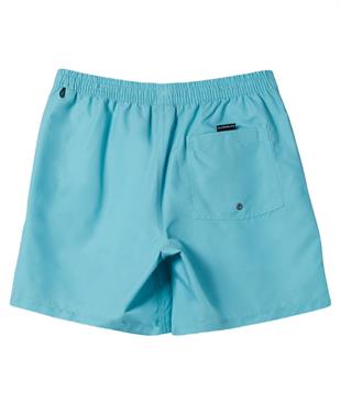Quiksilver AQYJV03139 Everyday Vert Volley 16 Erkek Şort Mayo