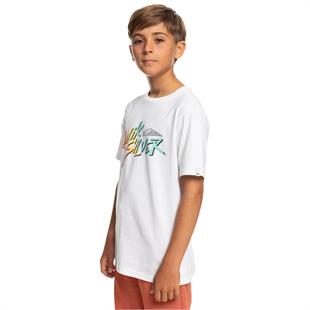 Quiksilver EQBZT04587 Signaturemove B Tees Erkek Çocuk Tişört