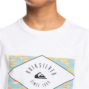 Quiksilver EQBZT04590 Circledline B Tees Erkek Çocuk Tişört
