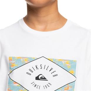 Quiksilver EQBZT04590 Circledline B Tees Erkek Çocuk Tişört