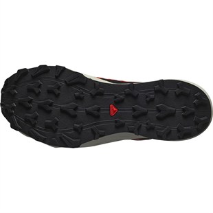 Salomon L47684500 Thundercross Gtx Erkek Koşu Ayakkabısı