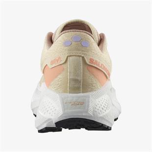 Salomon L47812500 Aero Glide 3 Grvl W Kadın Koşu Ayakkabısı