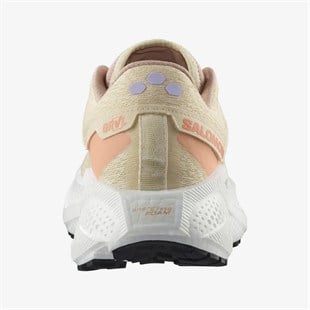 Salomon L47812500 Aero Glide 3 Grvl W Kadın Koşu Ayakkabısı