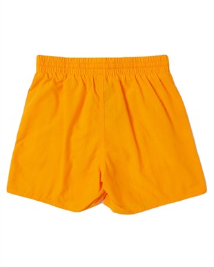 Speedo 8-1241216143 Essential 13