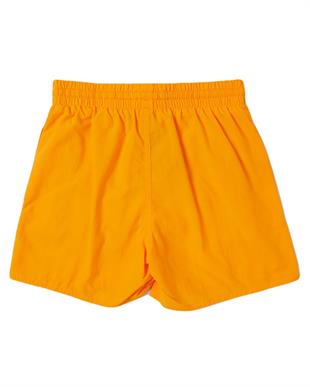 Speedo 8-1241216143 Essential 13