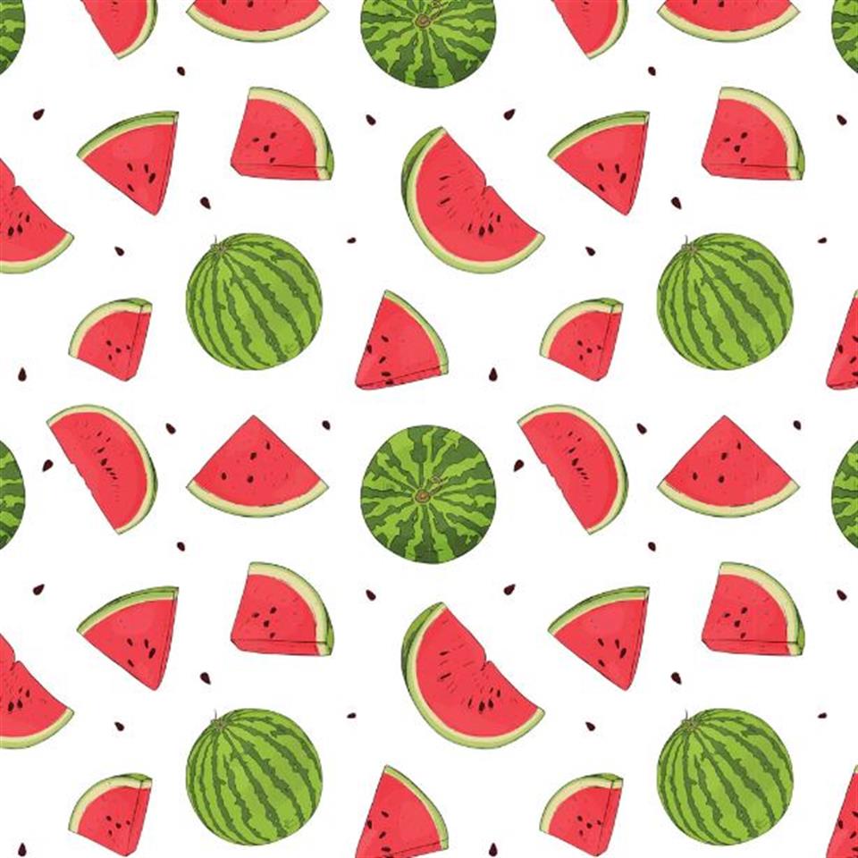 Underglaze Transfer-Watermelon (9 X 6.5 İnch)