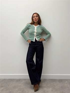 Kadın Gold Düğme Triko Yeşil Hırka