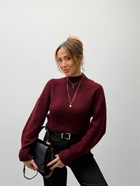Kadın Tina Bordo Balıkçı Yaka Triko Kazak