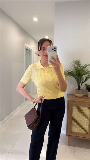 Dlvin Hollda Sarı Polo Yaka Ajurlu Triko